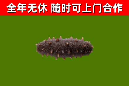 潞城区烟酒回收干海参.jpg